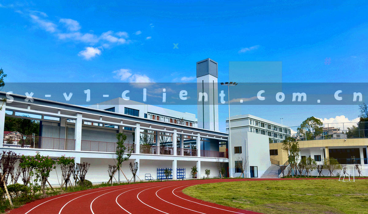 条款版本编号与生效区间阅读方式示意图